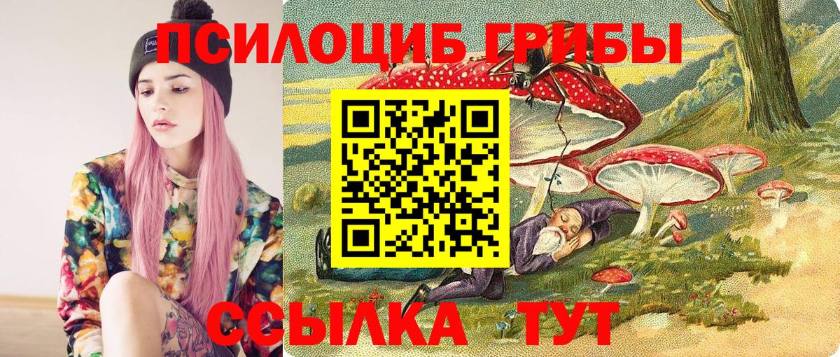 Галлюциногенные грибы Psilocybine cubensis Новошахтинск