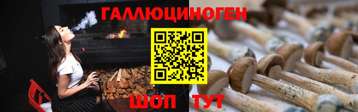 Псилоцибиновые грибы GOLDEN TEACHER  Вход с VPN  Новошахтинск 